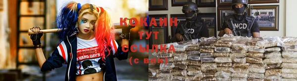 прущие крисы Беломорск