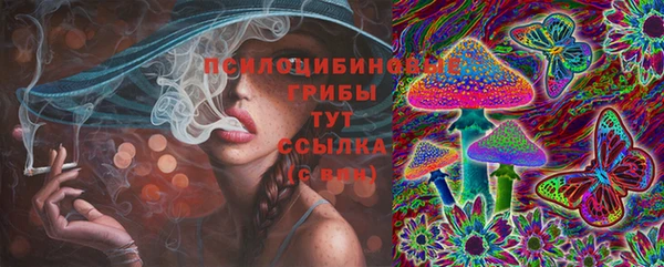 спайс Белокуриха