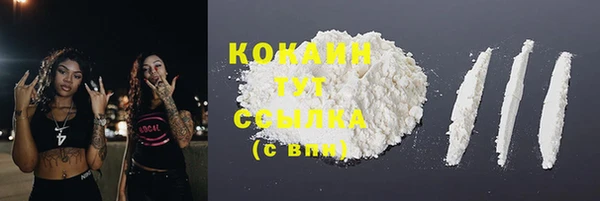 прущие крисы Беломорск