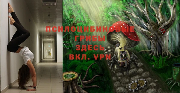 прущие крисы Беломорск